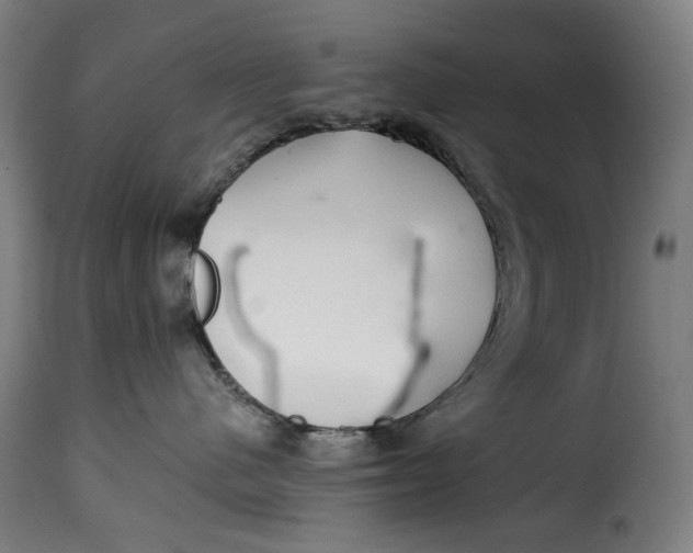X0000115270480200911201733
