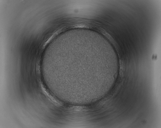 X0000115270482200911201732