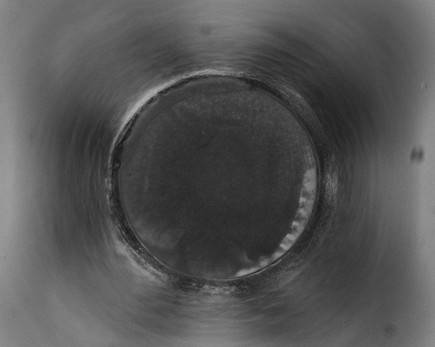 X0000115270484200911201732