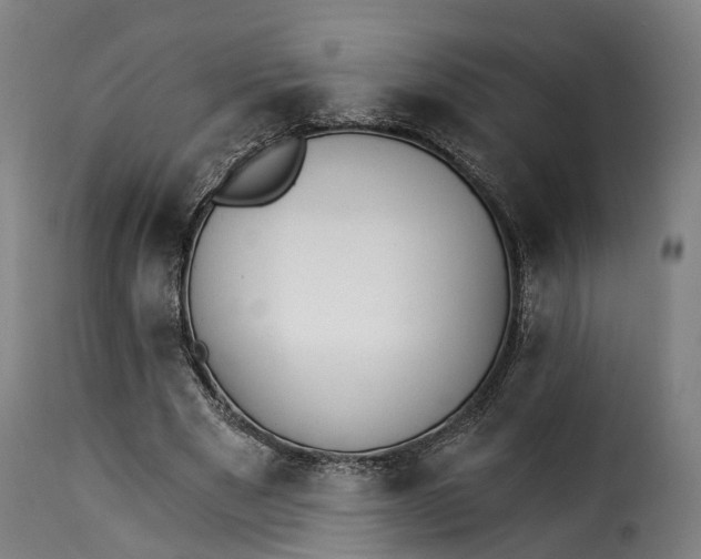 X0000115270489200911201732