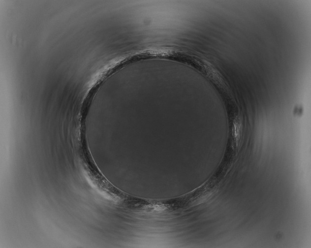 X0000115270492200911201732