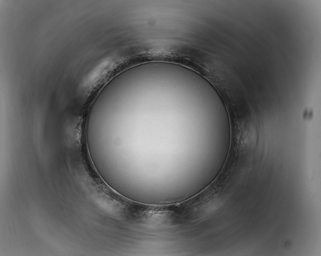 X0000115270495200911201732