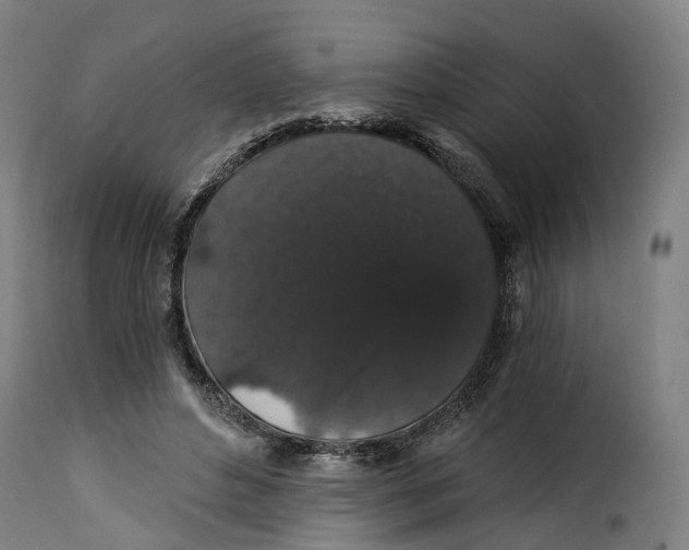 X0000115270496200911201732