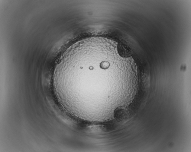 X0000115270499200911201732