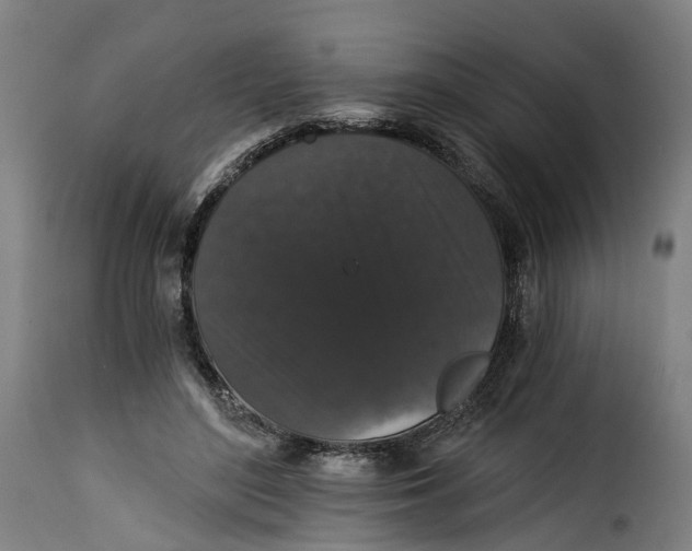X0000115270500200911201732