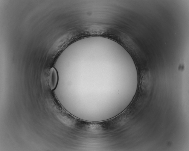 X0000115270501200911201732