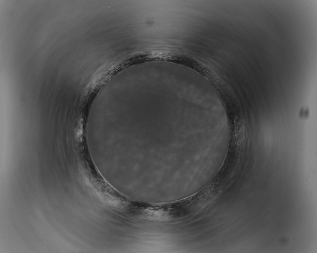 X0000115270502200911201732