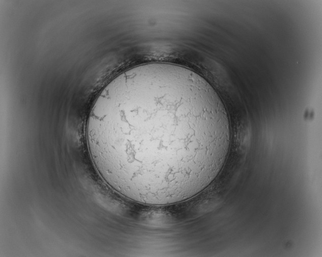 X0000115270503200911201732
