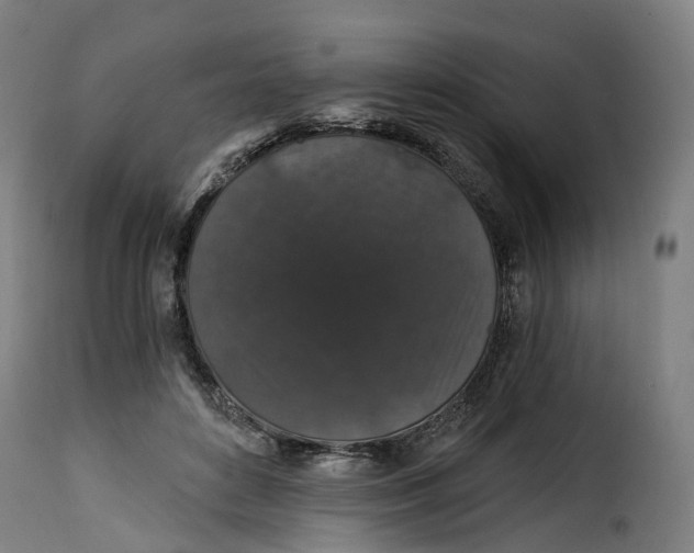 X0000115270504200911201732