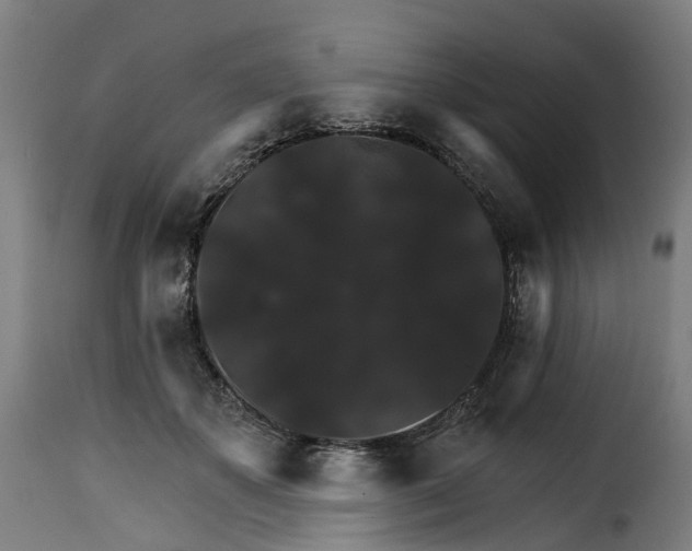 X0000115270507200911201732