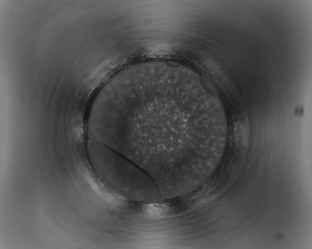 X0000115270508200911201732