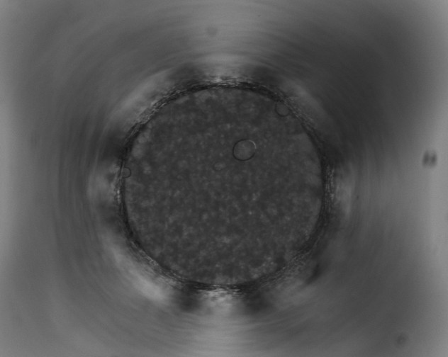 X0000115270511200911201732