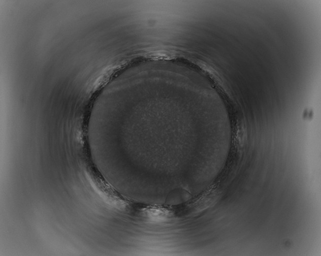 X0000115270512200911201732