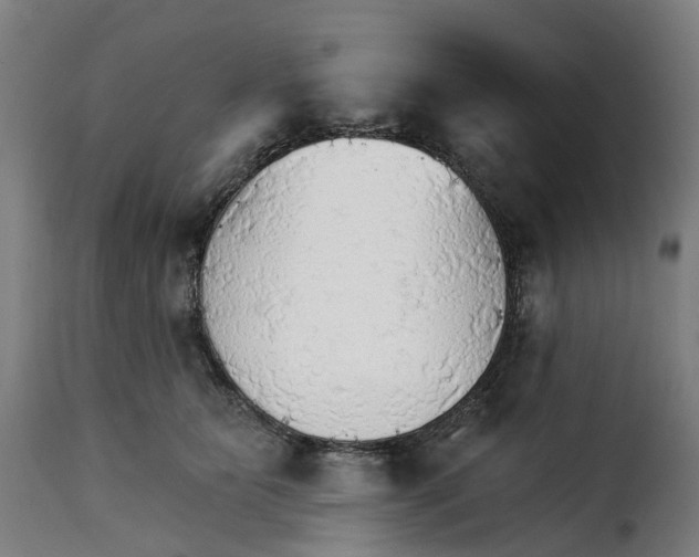 X0000115270515200911201732