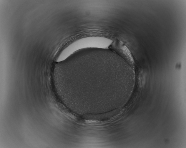 X0000115270516200911201732