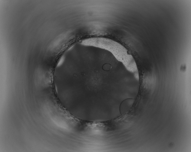 X0000115270517200911201732