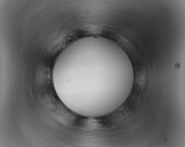X0000115270518200911201732