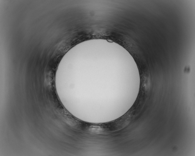 X0000115270519200911201732