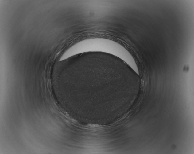 X0000115270520200911201732