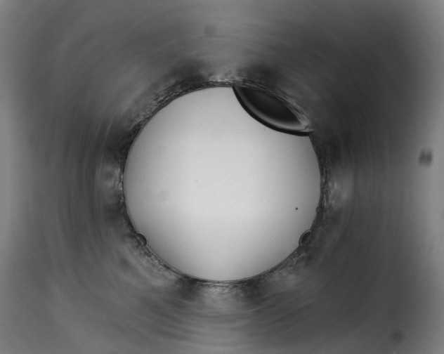 X0000115270521200911201732