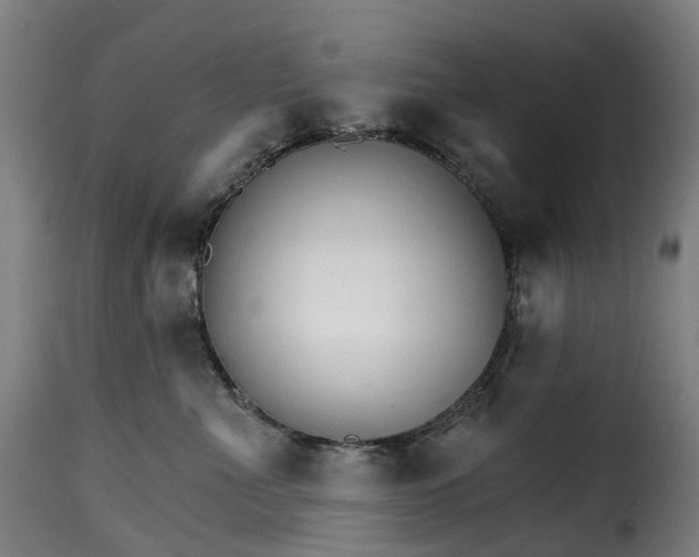 X0000115270523200911201732