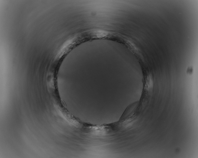 X0000115270524200911201732