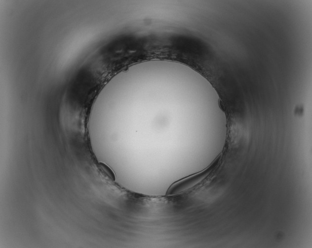 X0000115270525200911201732