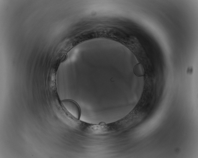 X0000115270526200911201731