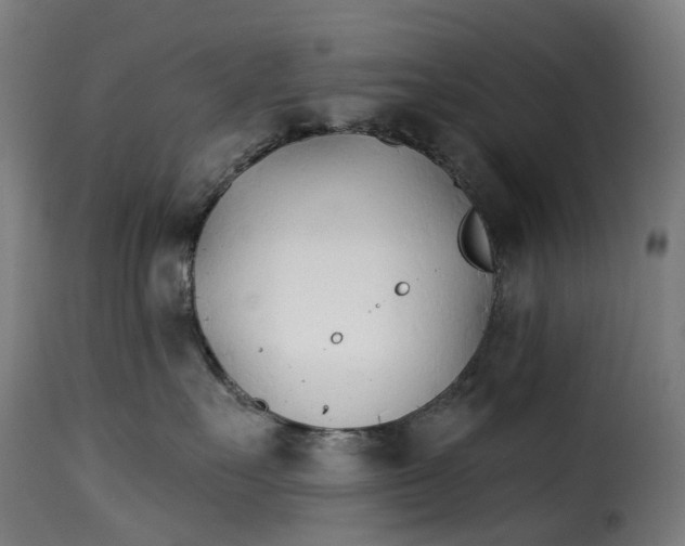 X0000115270527200911201731