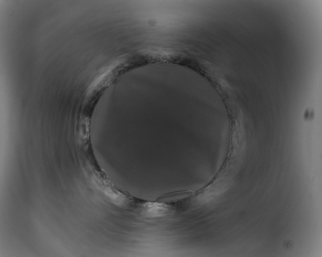X0000115270528200911201731