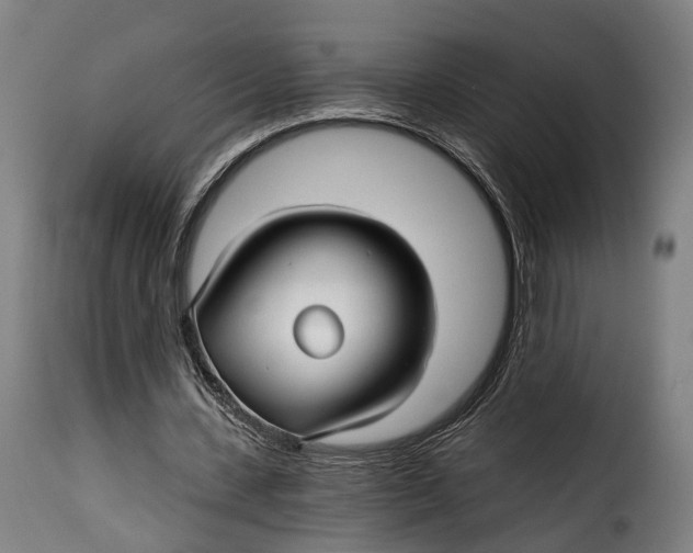 X0000115270531200911201731