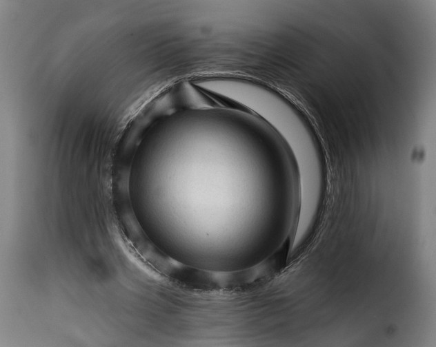X0000115270533200911201731