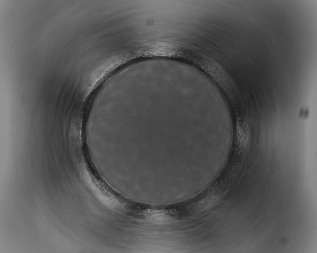 X0000115270534200911201731