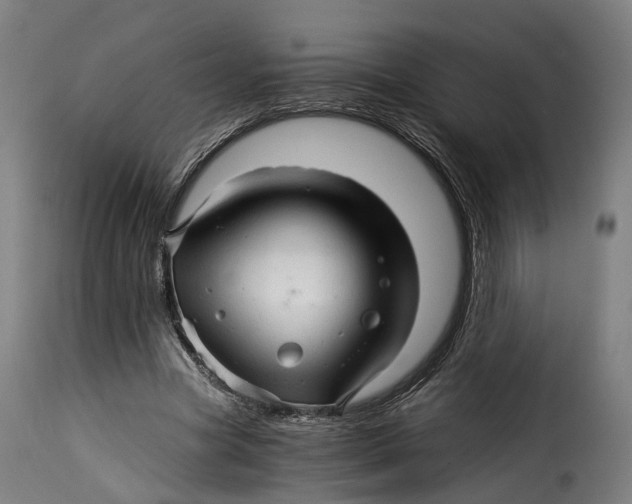 X0000115270537200911201731