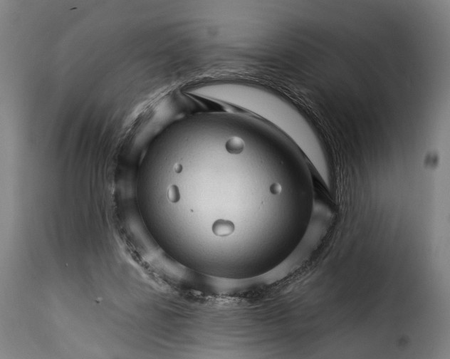 X0000115270539200911201731