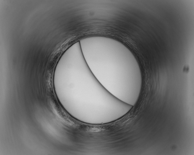 X0000115270542200911201731