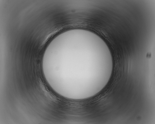 X0000115270543200911201731