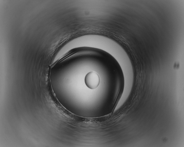 X0000115270545200911201731