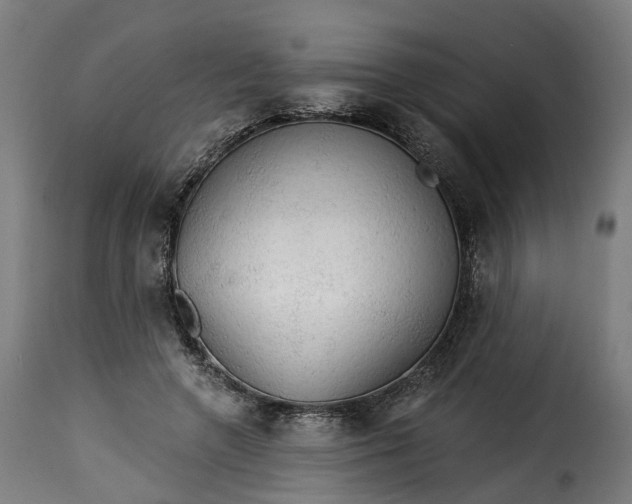 X0000115270546200911201731