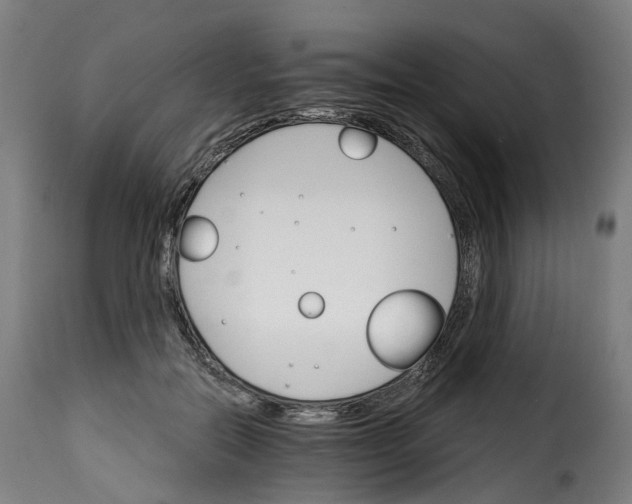 X0000115270554200911201731
