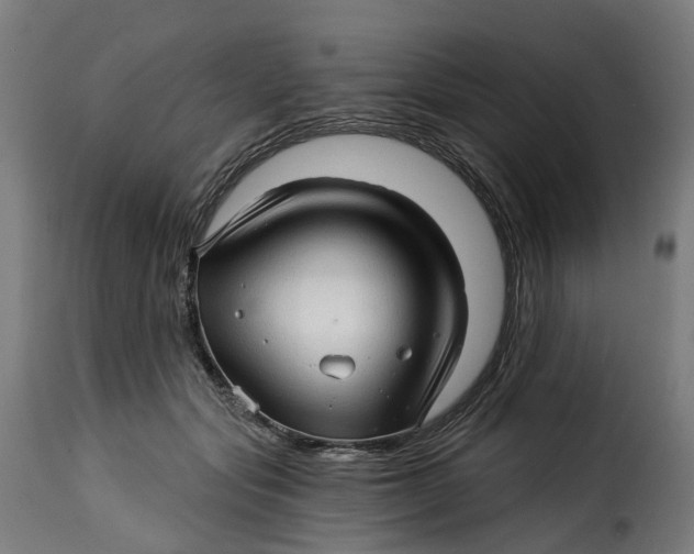 X0000115270557200911201731