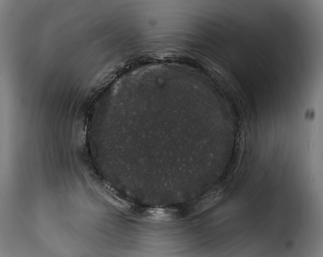 X0000115270558200911201731