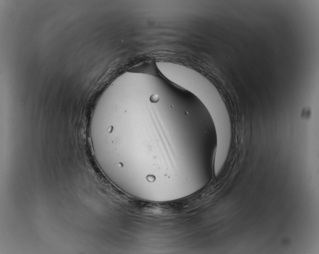 X0000115270561200911201731