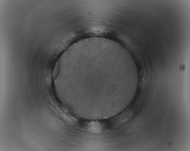 X0000115270562200911201731