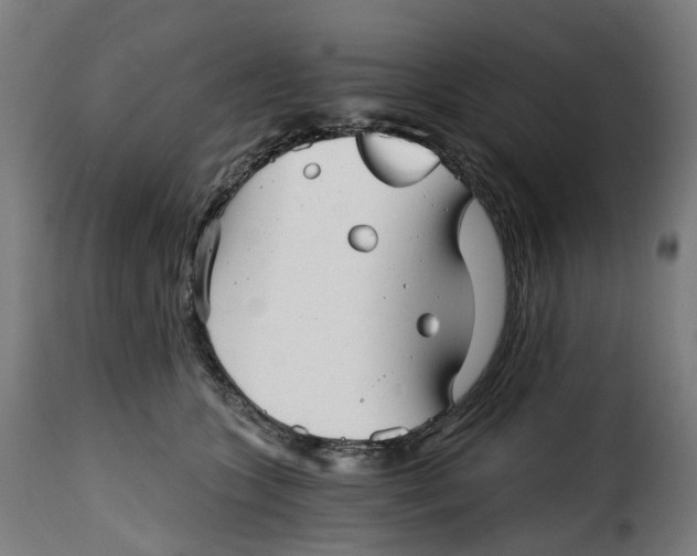 X0000115270563200911201731