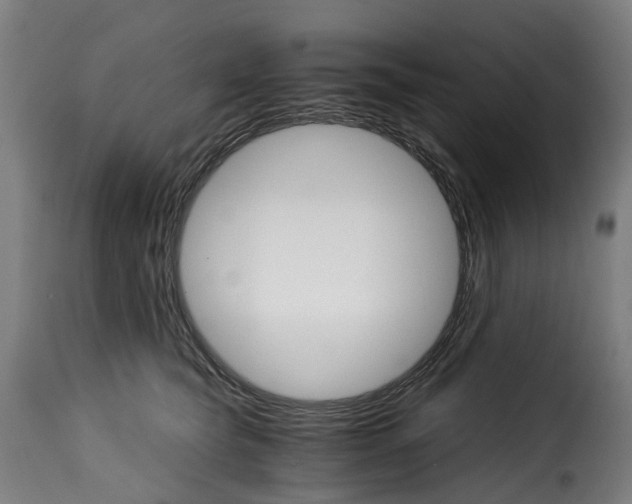 X0000115270565200911201731