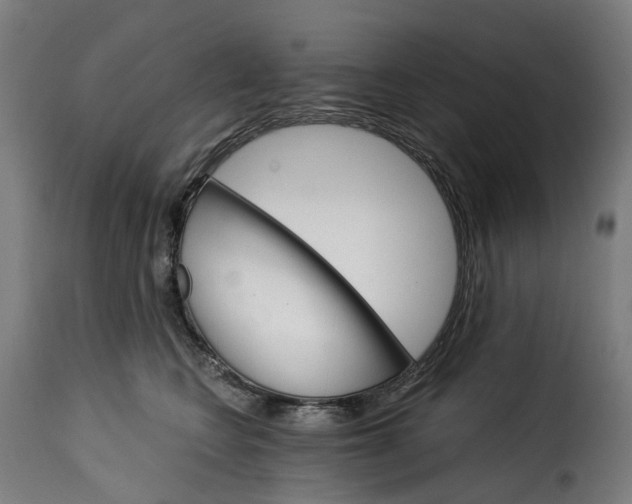 X0000115270566200911201731
