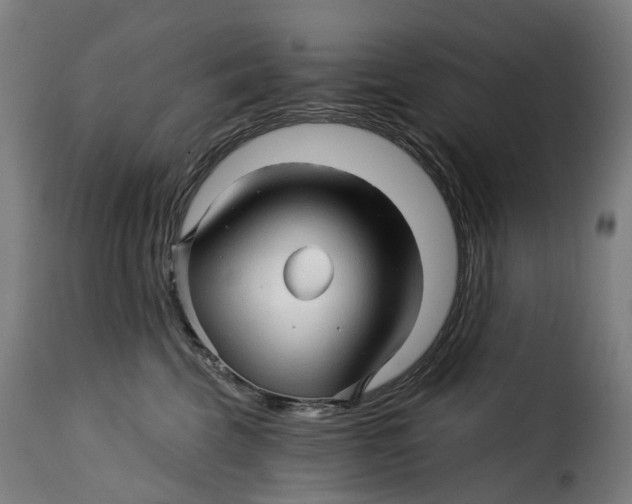 X0000115270569200911201731