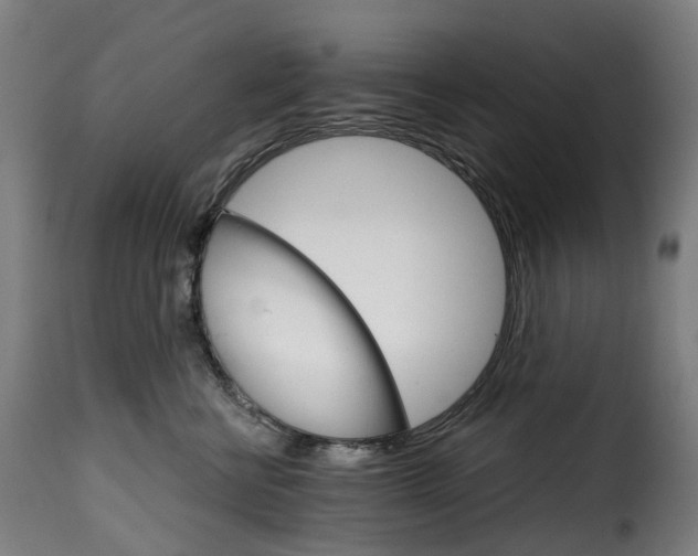 X0000115270570200911201731