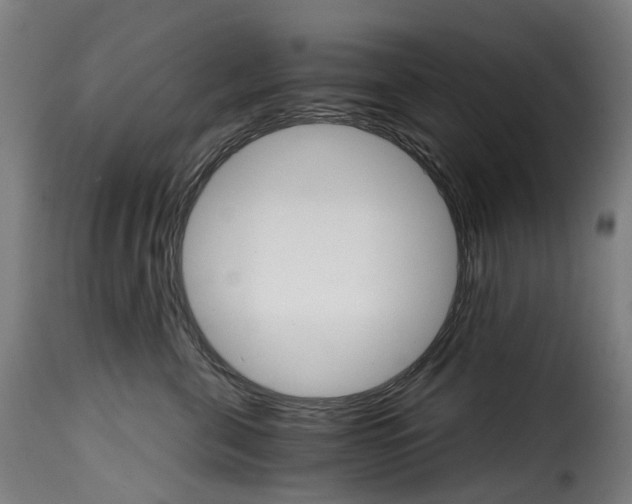 X0000115270571200911201731
